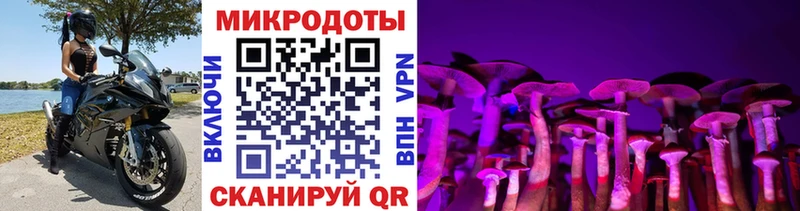 Псилоцибиновые грибы Cubensis  Купить где  Сусуман 